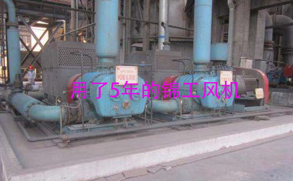 用了5年的脫硫氧化風機