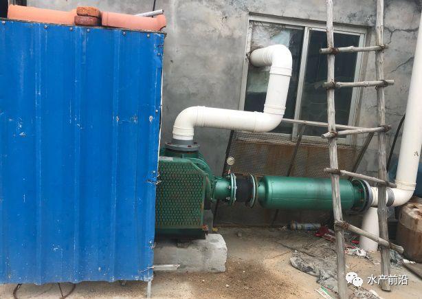 出蝦27斤/立方，連續三造成功后，工廠化養蝦在他看來并不難！