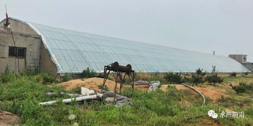 出蝦27斤/立方，連續三造成功后，工廠化養蝦在他看來并不難！